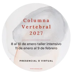 28 días de teoría y práctica Cuatro semanas para soltar lo que la espalda lleva cargando, entender cómo funciona de verdad tu columna y tu sistema nervioso, y descubrir quién es el que observa todo esto.